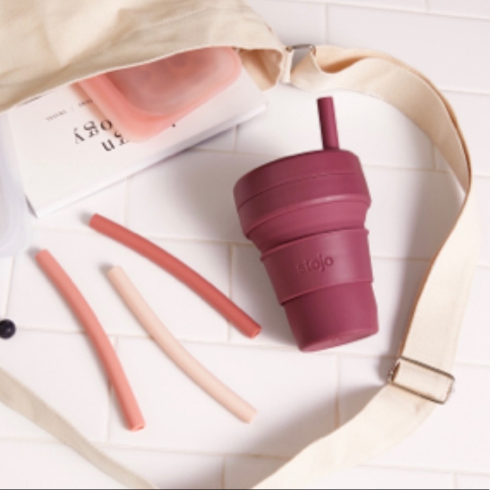 Collapsible Cup with Reusable Straws